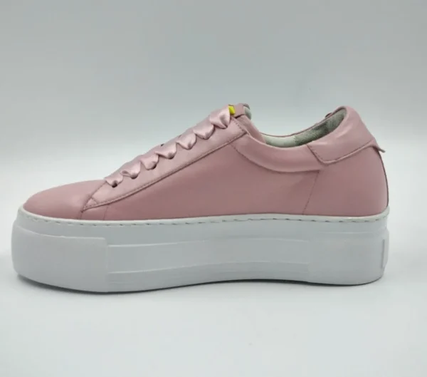 SNEAKERS CAMEO